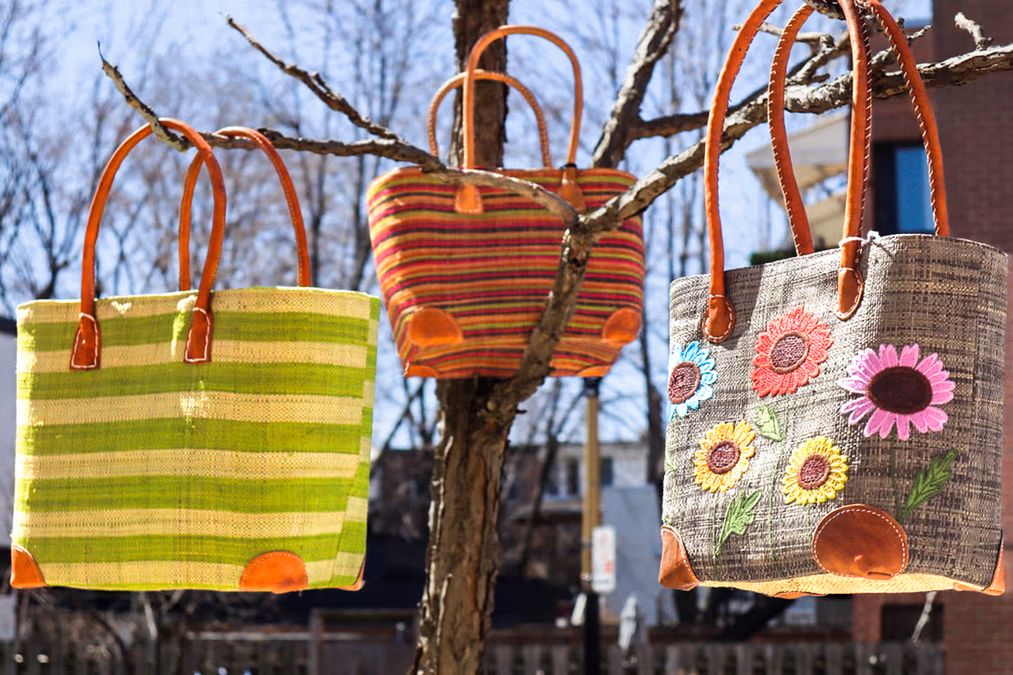 Handbags hanging from a tree
